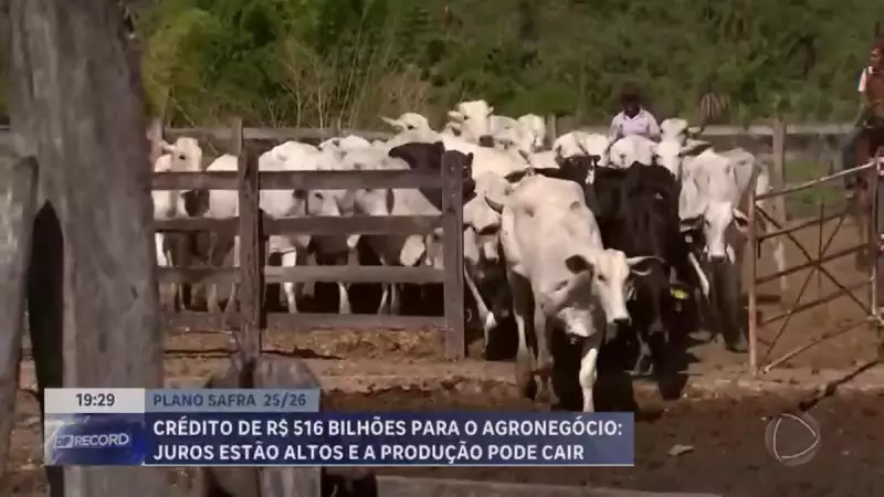 Plano Safra 2025/26: R$ 516 bilhões para impulsionar o agronegócio brasileiro