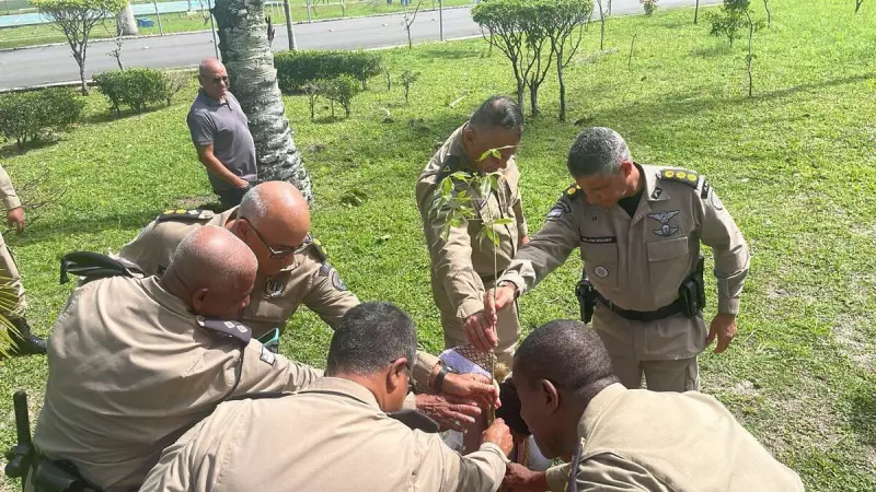 PM-BA comemora 20 anos do NAFRO com plantio de baobá: símbolo de resistência e tradição