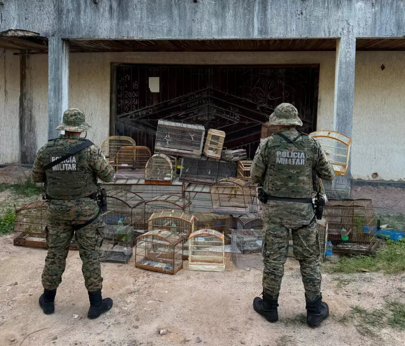 PM resgata aves silvestres e prende suspeitos em operação em Salvador