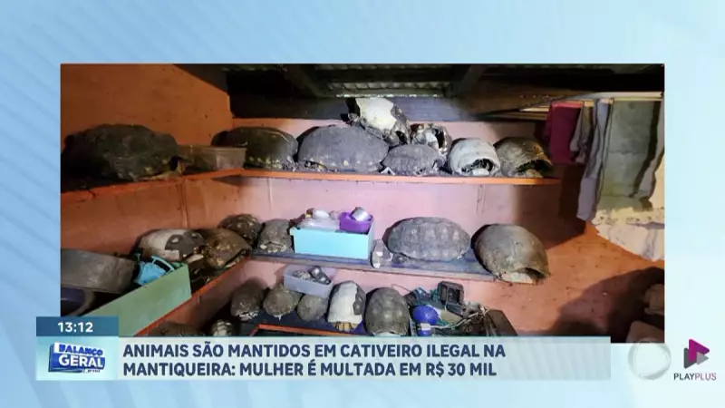 Polícia Ambiental desvenda cativeiro ilegal de animais silvestres em Santo Antônio do Pinhal - SP