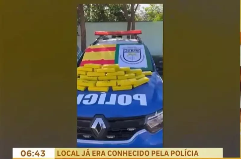 Polícia apreende 60 quilos de maconha em residência usada como ponto de tráfico em Goiás