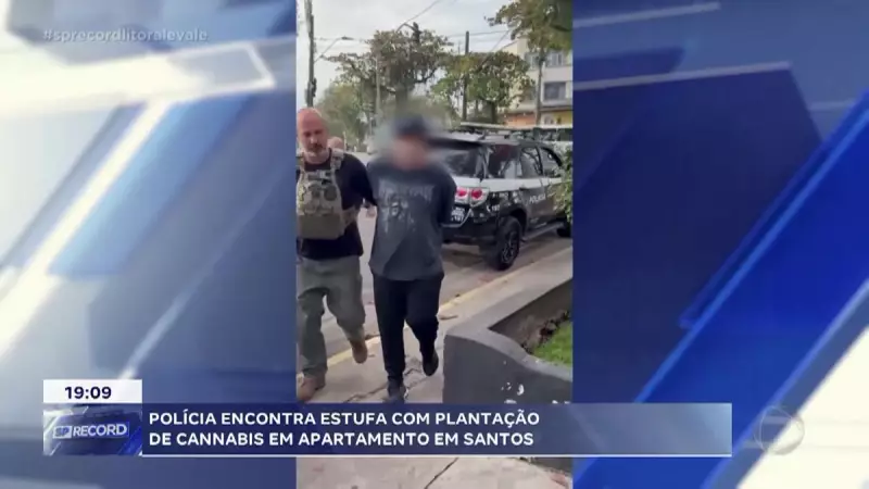 Polícia Civil descobre plantação de maconha em apartamento de luxo em Santos — detalhes da operação