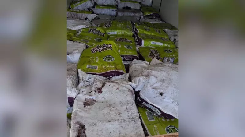 Polícia Civil recupera carga de açaí avaliada em R$ 100 mil em Uberlândia