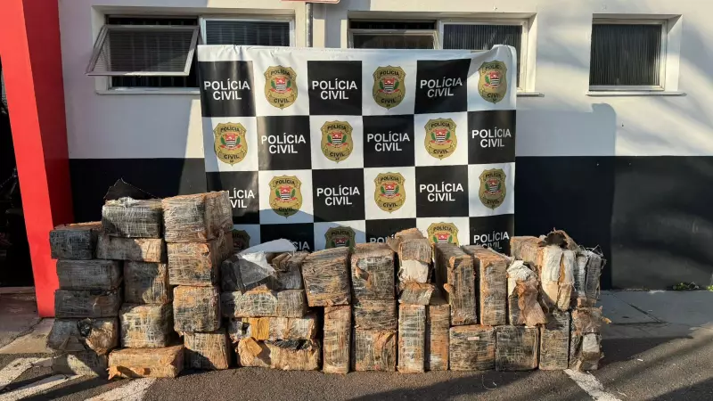 Polícia encontra quase 840 kg de maconha enterrados em poço na zona rural de Atibaia, SP