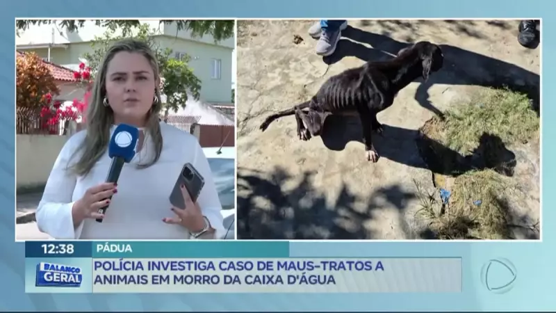 Polícia investiga maus-tratos a animais em residência de Santo Antônio de Pádua, RJ