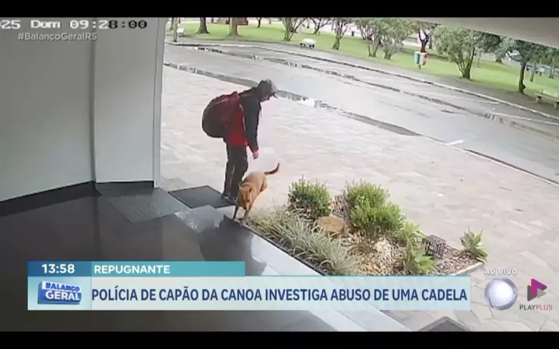 Polícia investiga maus-tratos a cadela em Capão da Canoa: Caso choca moradores