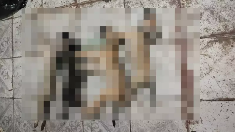 Polícia investiga possível envenenamento de animais na Grande Belém: Caso choca moradores