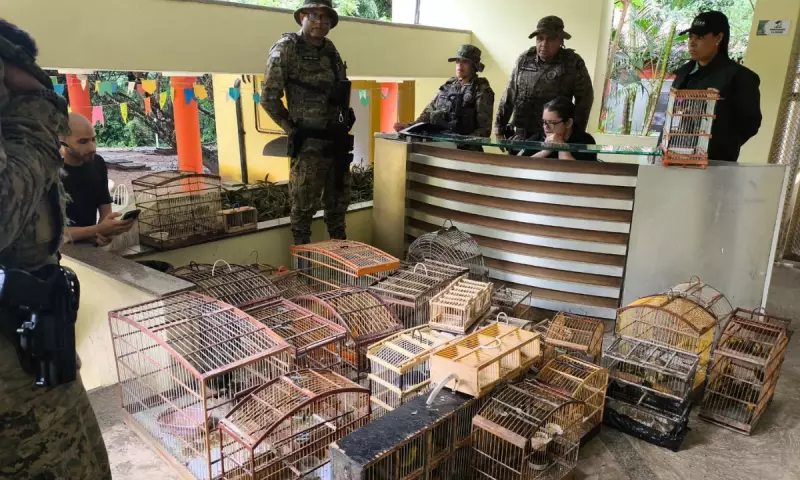 Polícia prende suspeitos e resgata aves silvestres em feira livre na Bahia