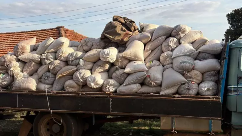 Polícia recupera 400 sacos de soja furtados e prende quatro suspeitos em Taquaritinga, SP