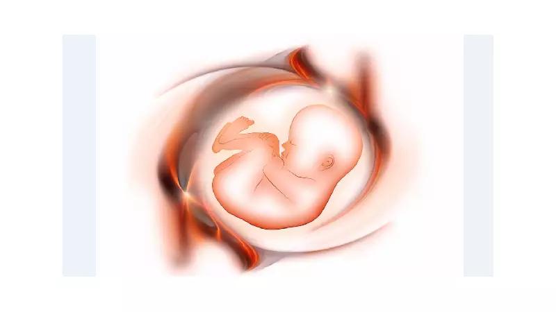 Poluentes Invisíveis: Como Substâncias Químicas no Dia a Dia Podem Afetar a Fertilidade e o Desenvolvimento Infantil