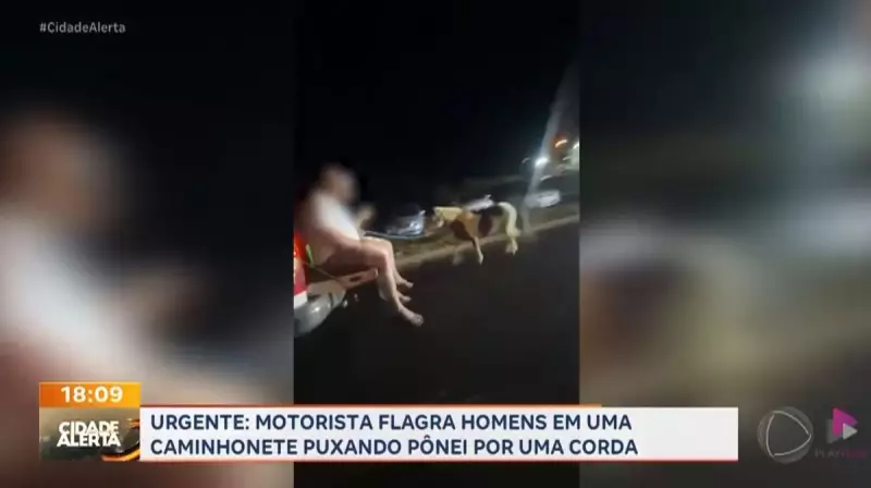 Pônei é arrastado por caminhonete em Franca (SP) — Vídeo chocante viraliza nas redes