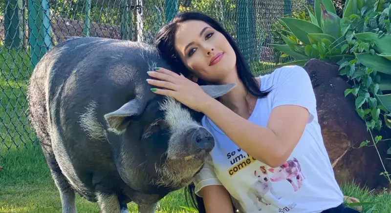 Porco vira influencer nas redes sociais e conquista mais de 20 milhões de visualizações com fãs chamados de 'Oinkmigos'