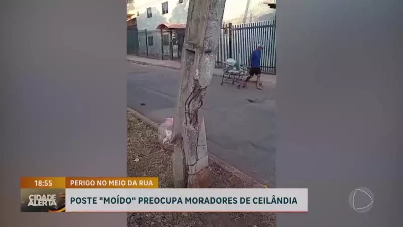 Poste podre vira ameaça para estudantes em Ceilândia: risco iminente na porta da escola!