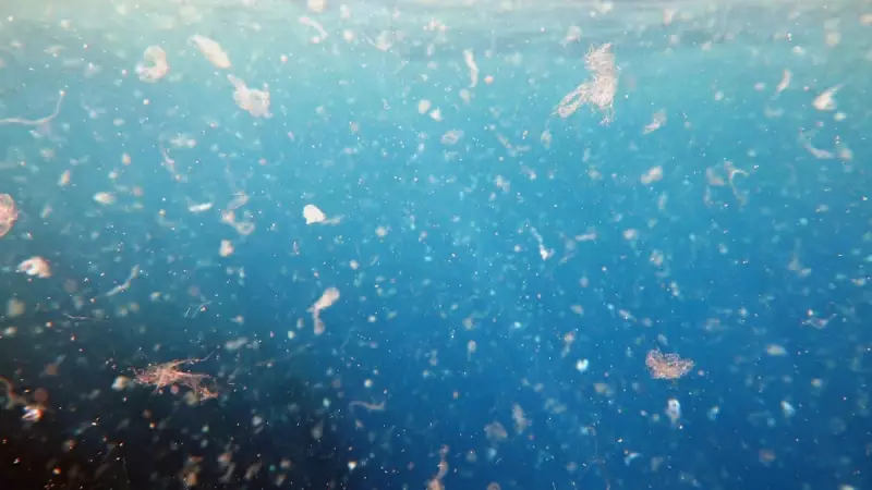 Praia mais poluída do Brasil fica em Florianópolis: o impacto do plástico no paraíso turístico