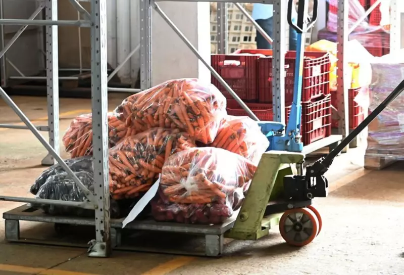 Preço dos ovos brancos cai 5% e cebola despenca 20% na Ceasa Campinas