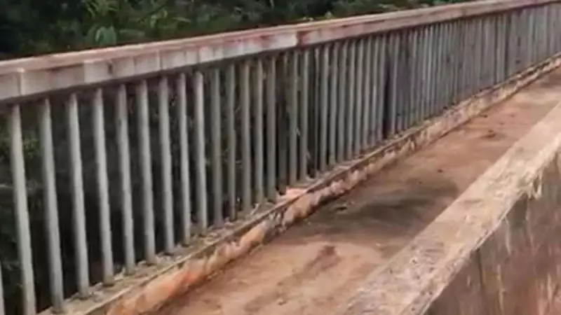 Prefeitura de Chapéu do Sol realiza mutirão de limpeza e manutenção viária para revitalizar a cidade