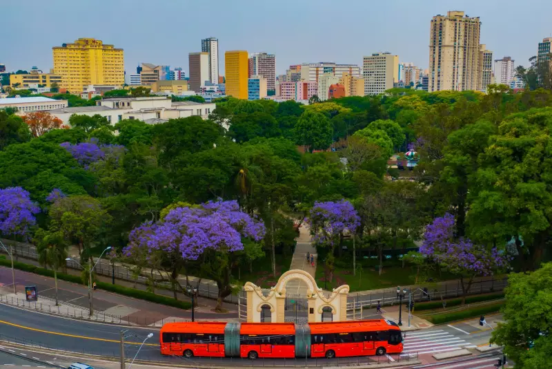 Prefeitura de Curitiba abre PSS com vagas para professores: saiba como participar