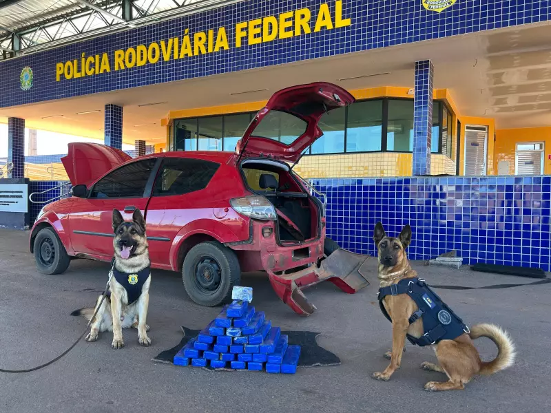 PRF apreende 30 kg de maconha em veículo na BR-040, em Santa Maria | G1 DF