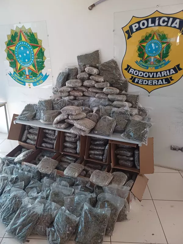 PRF apreende quase 140 kg de drogas em caminhonete na Dutra, em Lavrinhas: veja o vídeo