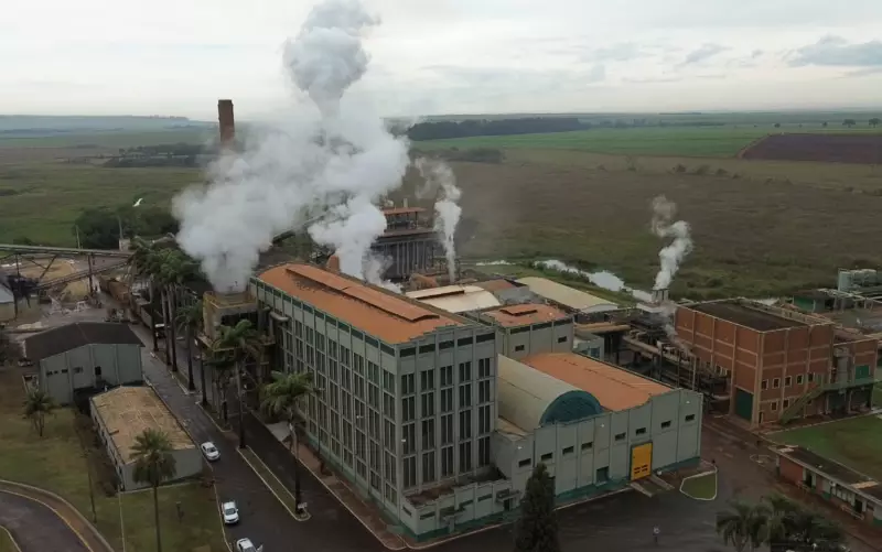 Produtores de açúcar orgânico em SP entram em alerta com possível tarifa dos EUA: 'Negociação é vital'