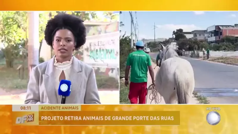 Projeto inovador resgata animais de grande porte nas ruas do DF para prevenir acidentes