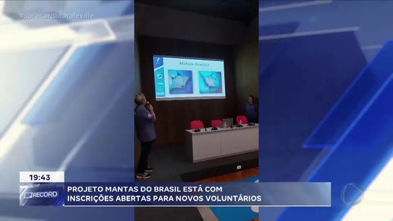 Projeto Mantas do Brasil busca voluntários apaixonados pela vida marinha — participe!