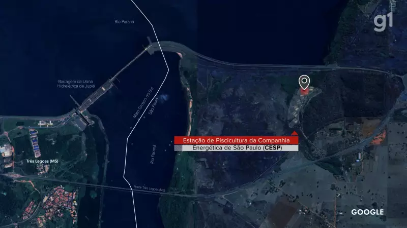 Promotoria questiona ausência de repovoamento de peixes no rio Paraná há mais de 10 anos