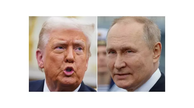 Putin ignora ameaças de Trump e promete continuar guerra na Ucrânia: o que está por trás da teimosia russa?