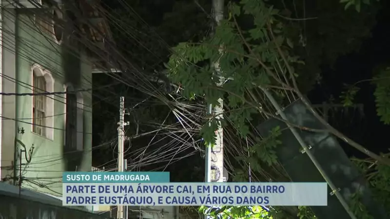 Queda de galho deixa bairro Padre Eustáquio sem energia em BH — veja detalhes