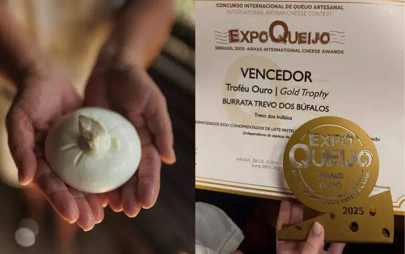 Queijo baiano conquista prêmio internacional e coloca o Extremo Sul da Bahia no mapa gourmet