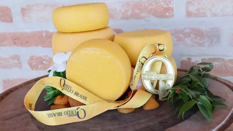Queijo inédito conquista ouro em concurso nacional antes mesmo de chegar às prateleiras