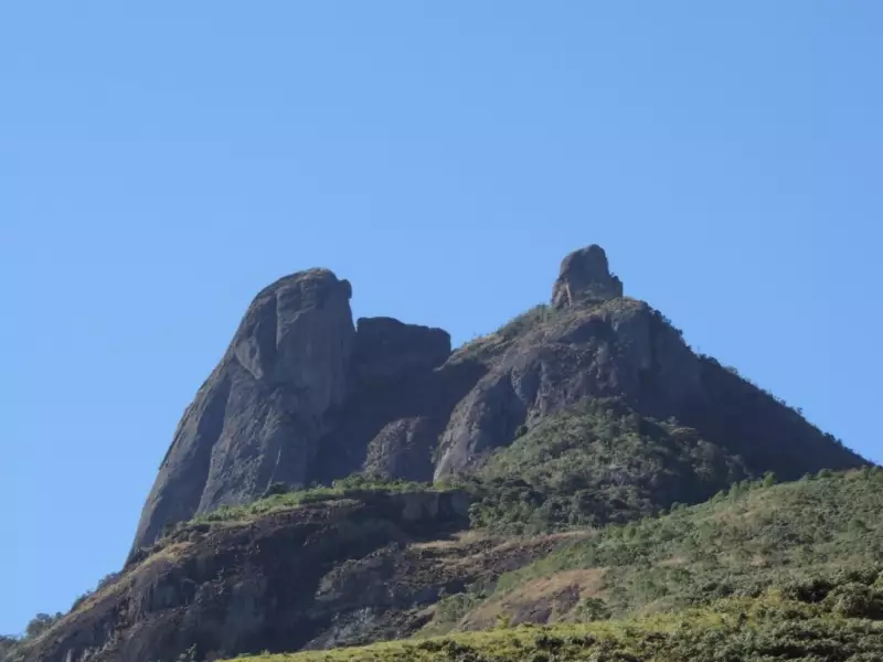Rara irara branca é avistada no Parque Estadual da Pedra Selada em Visconde de Mauá