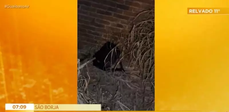 Recém-nascida é encontrada morta dentro de mochila em Guaíba: caso choca comunidade