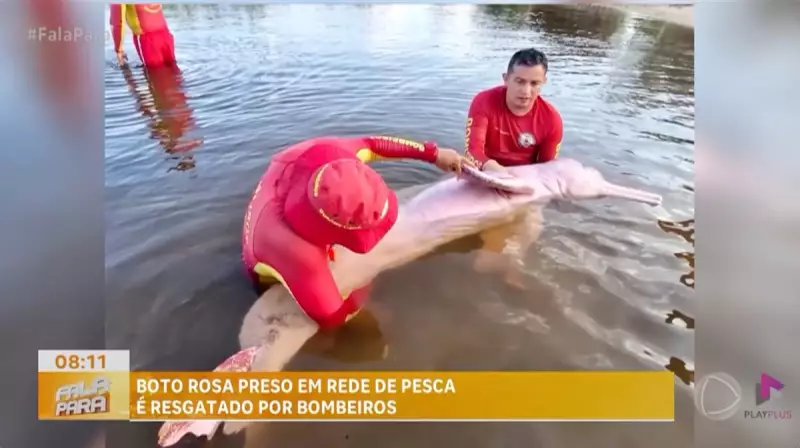 Resgate de boto no Xingu vira sensação: veja o que aconteceu!