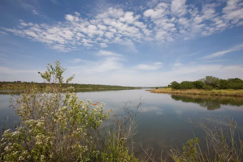 Restauração é a chave para resiliência hídrica e sustentabilidade no Pantanal