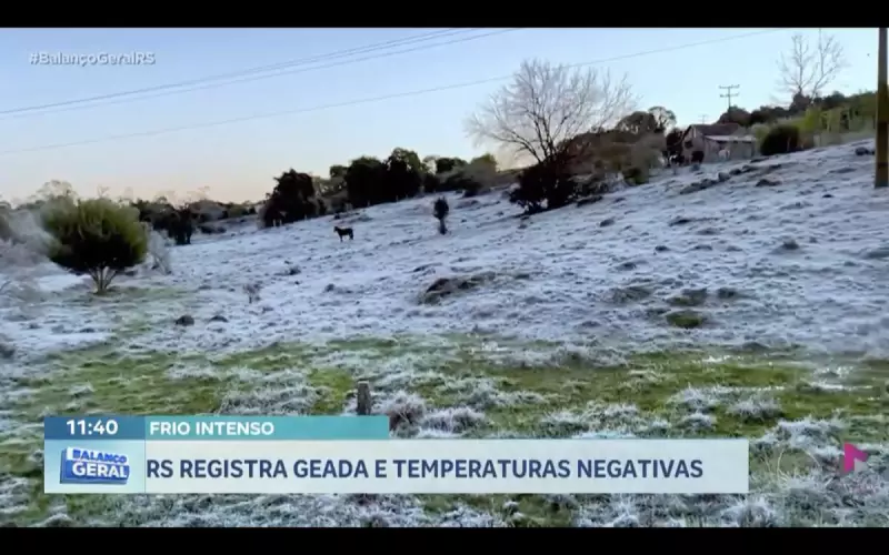 Rio Grande do Sul enfrenta geadas e temperaturas negativas: saiba como se proteger