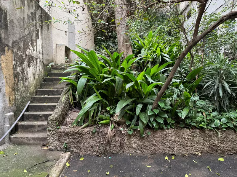 Rios escondidos em SP: descubra os cursos d'água secretos da capital paulista