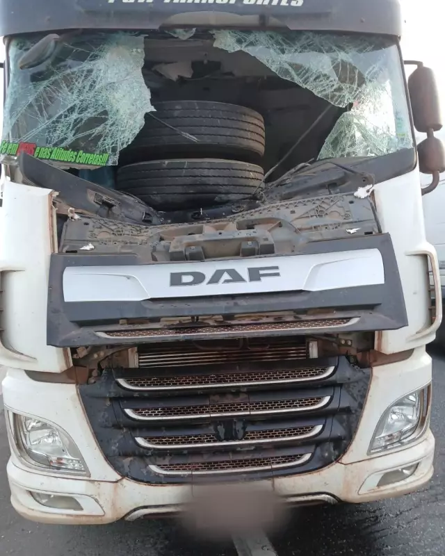 Rodas de carreta se soltam e atingem caminhão na Fernão Dias em Lavras, MG: veja detalhes