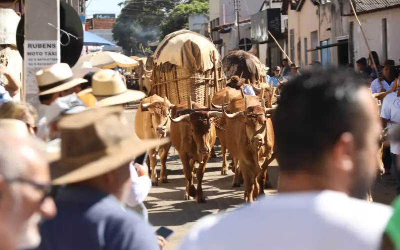 Romaria do Divino Pai Eterno reúne centenas de carros de boi em desfile emocionante em Goiás