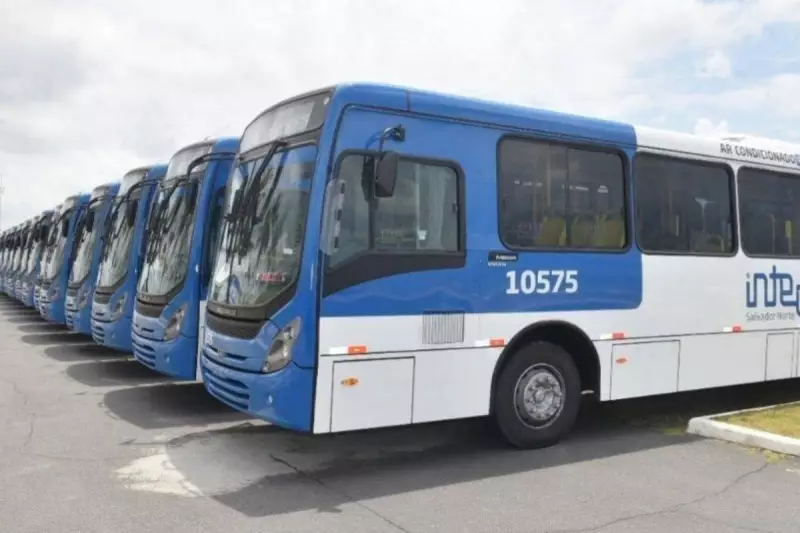 Salvador ganha novos ônibus com ar-condicionado e acessibilidade — confira as rotas!