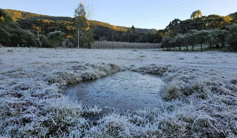 Santa Catarina enfrenta uma das ondas de frio mais intensas do ano com geadas e temperaturas abaixo de 10°C