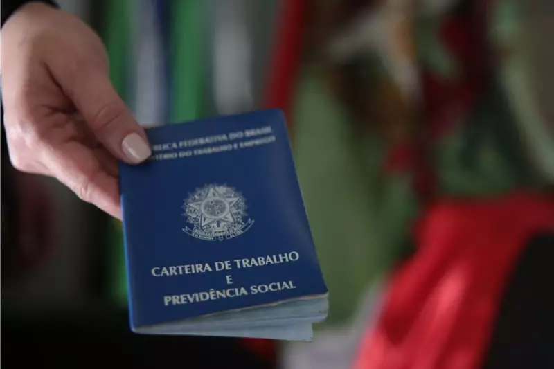 Santa Catarina se destaca na geração de empregos e alcança 5ª posição no ranking nacional