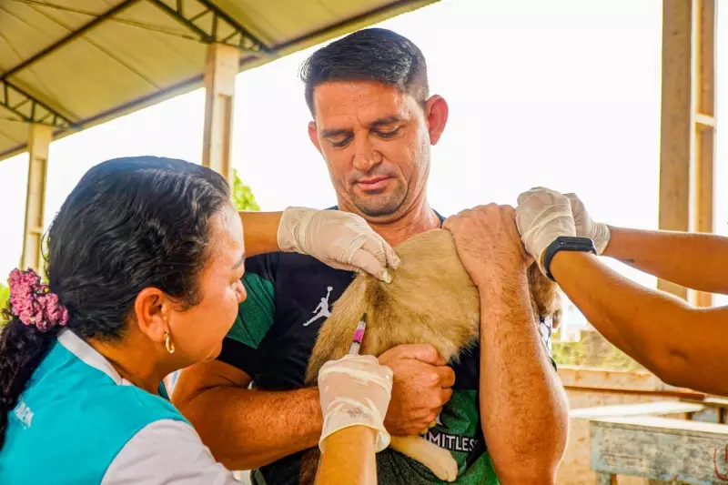 Santarém: 20 anos sem raiva humana e vigilância ativa contra leishmaniose