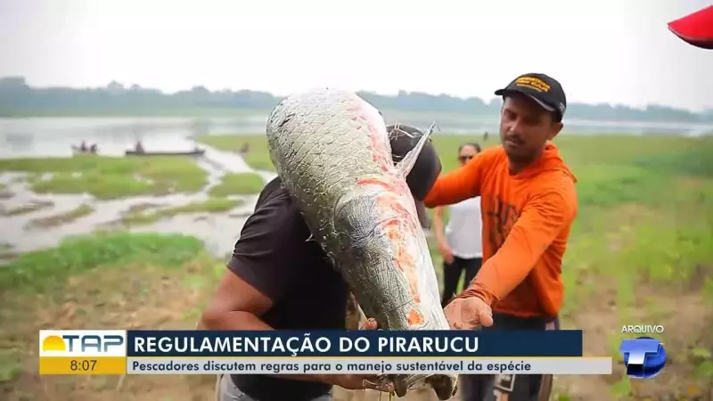 Santarém debate regulamentação da pesca do pirarucu: evento reúne especialistas e comunidade
