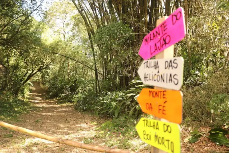 Santos ganha seu maior parque ecológico: Parque dos Morros promete regeneração ambiental e lazer sustentável