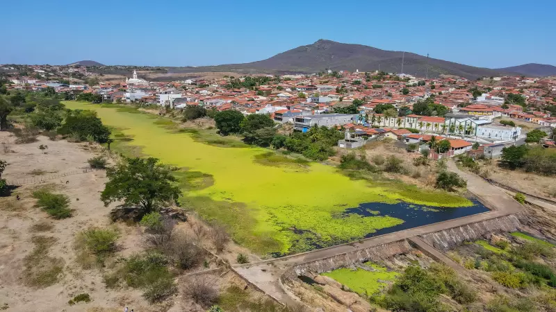 Sebrae impulsiona agronegócio no Centro-Sul do Ceará com inovação e sustentabilidade