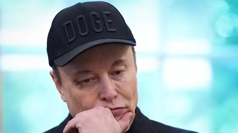 Secretário do Tesouro dos EUA afirma: Elon Musk deve se manter longe da política