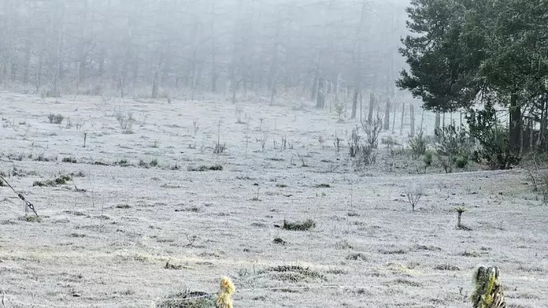 Serra Catarinense registra geada intensa com temperaturas abaixo de zero; veja fotos impressionantes