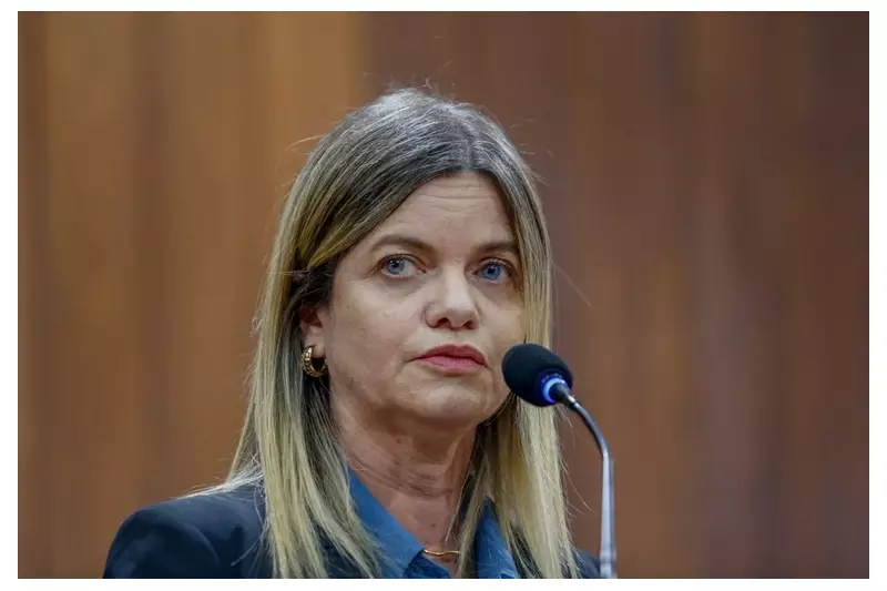 Servidor é exonerado após áudios com conteúdo violento e sexual contra deputada do Piauí