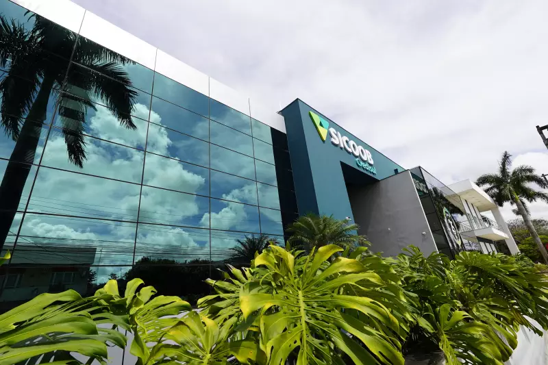 Sicoob Credisul recebe delegação internacional: cooperação em foco